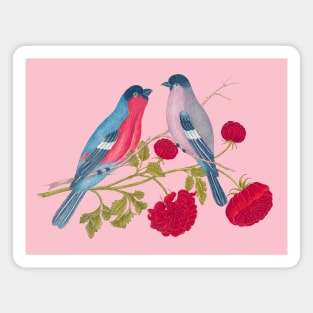 Two Bullfinch Birds and Red Flowers Wildlife Illustration Magnet